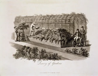 Luxus der Gärten, aus 